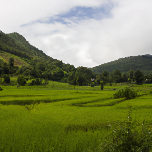 Risskov Rejser: En Komplet Guide til Din Næste Rejse